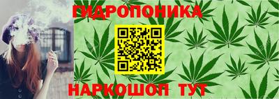 спайс Краснодар