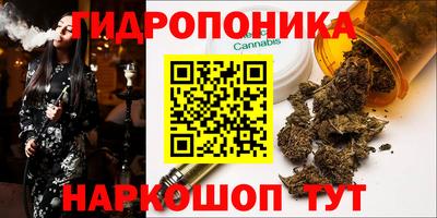 СК Краснокаменск