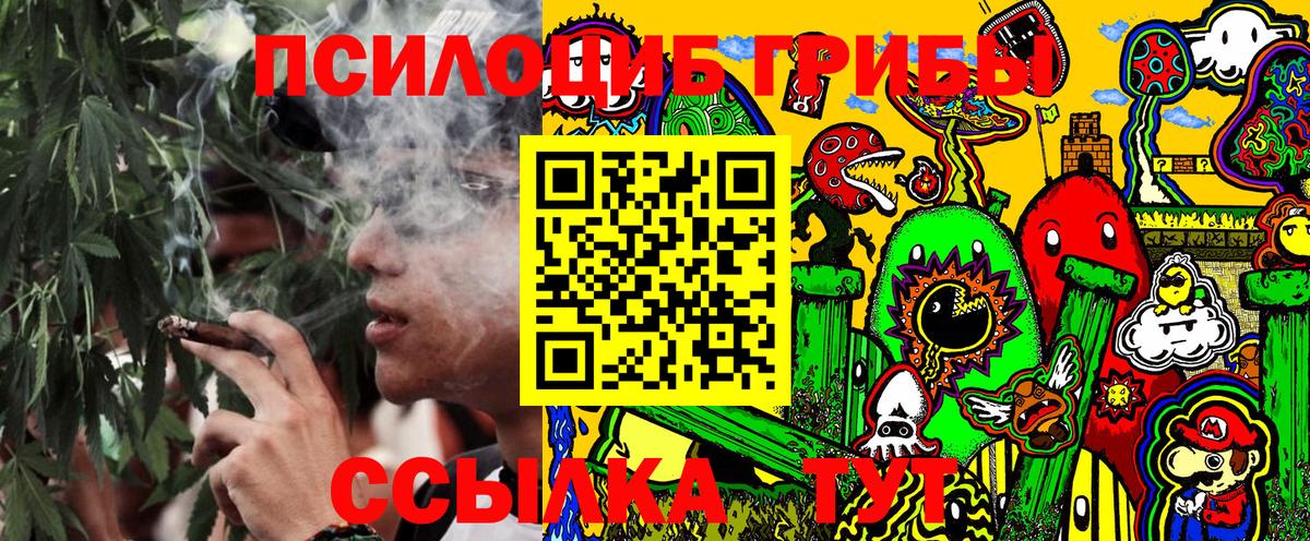 Кингисепп  Псилоцибиновые грибы Psilocybe  Галлюциногенные грибы прущие грибы  Вход с VPN 
